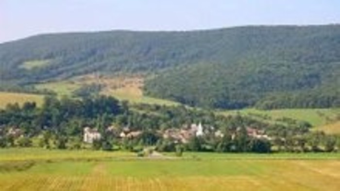 Obec Polina