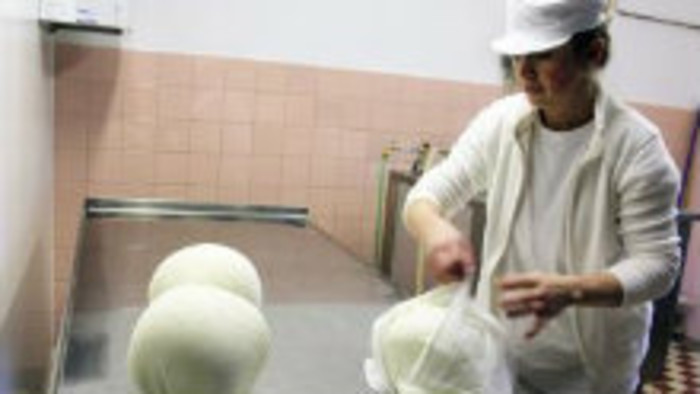 Bryndza je zdravá nielen v máji