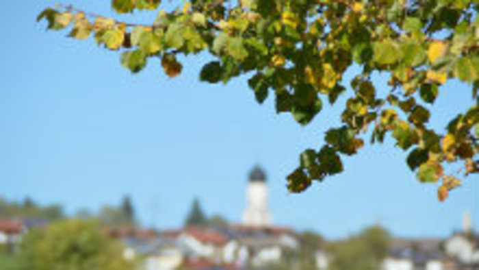 Lokálpatriotizmus
