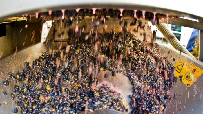 La Slovaquie perdra des milliers de tonnes de raisin