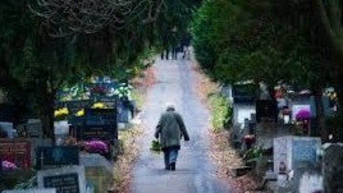 Výrub stromov na prešovskom cintoríne