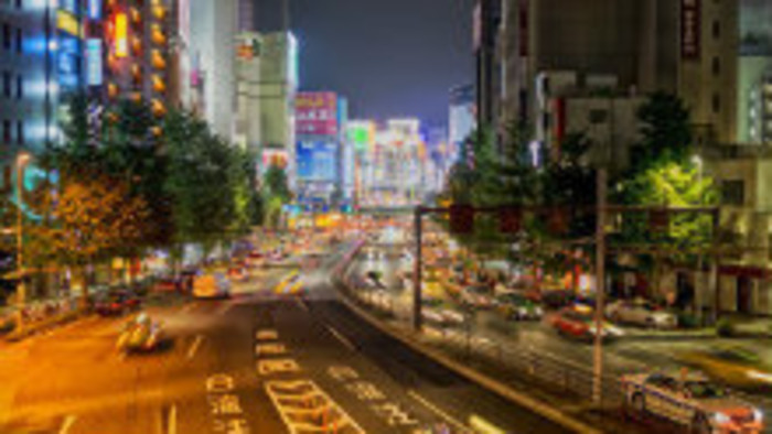 Naši skauti v Japonsku