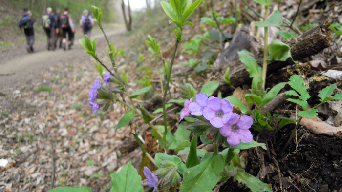 Rádiovíkend 25.4.2015 – pozvánky