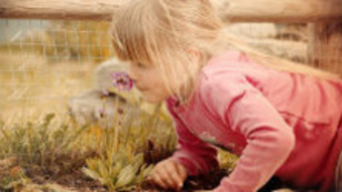 Prečo nám vonia svet?