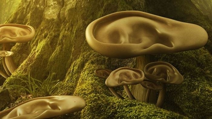 Uši dokorán – je tu najaktuálnejšia hudobná klasika!