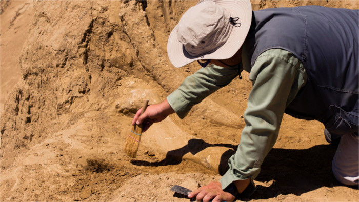 Slovak archaeologists discover ancient air conditioning in Kuwait 