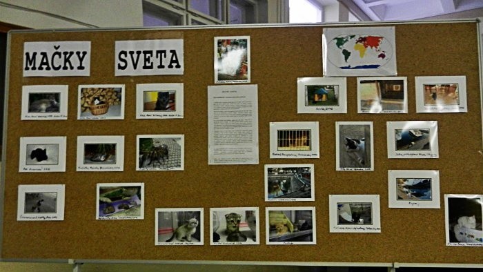 Vystavou-fotografii-sa-predstavila-publicistka-Iveta-Pospisilova