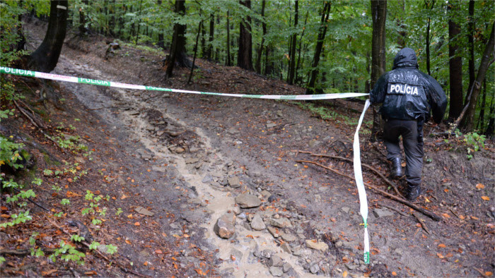 Pilot killed in aircraft crash in eastern Slovakia