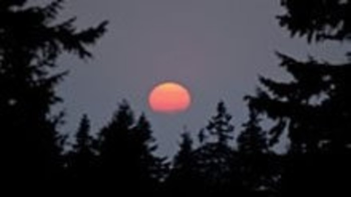 Kalendárium prírody - Melancholická nálada dušičkového obdobia