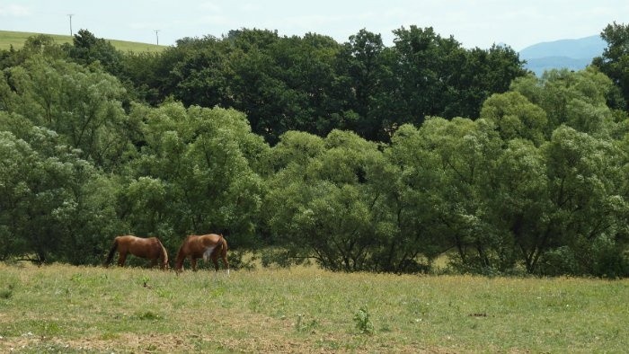 Príbehy slovenských rodinných fariem – 5. časť