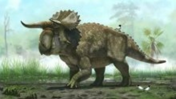 Dinosaury z Ruska sú v Bratislave