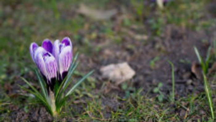 Rádiovíkend 9.4.2016 – pozvánky