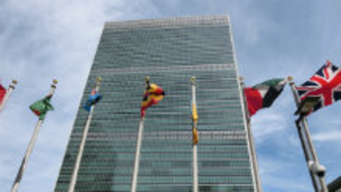 OSN potrebuje reformu