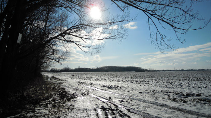Rádiovíkend 14.2.2015 – pozvánky