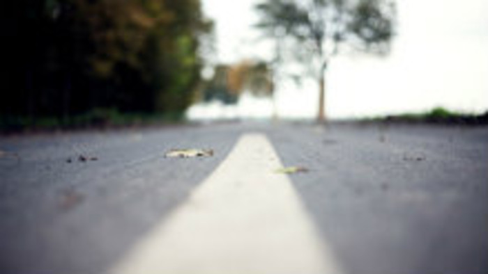 Kam nahlásiť popadané konáre a značky?