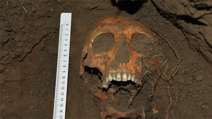 Human bones found during excavations