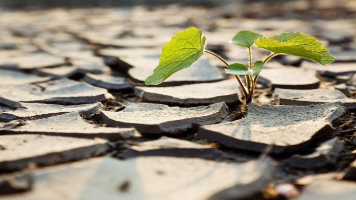 Los cambios climáticos se cuentan entre los mayores riesgos actuales