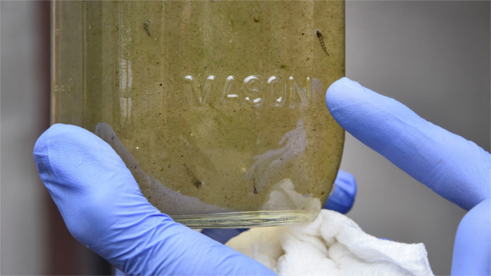 Microplastics found in drinking water