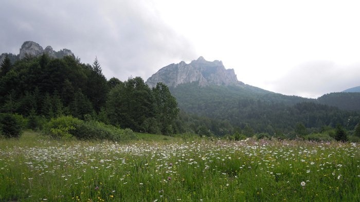 Na Rozsutci v Malej Fatre