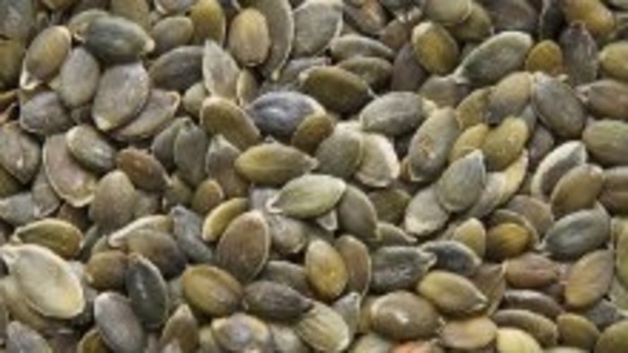 Veľká úroda tekvice