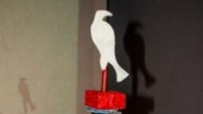 Ocenenie Biela vrana