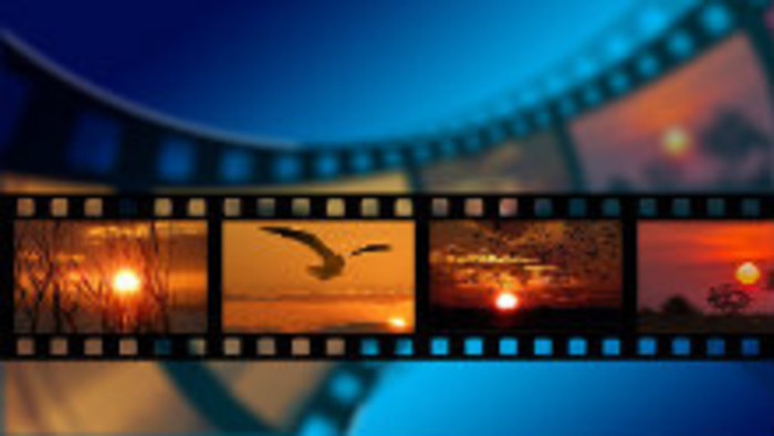 Filmárskej súťaži dominovali témy holokaustu a ekológie