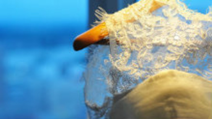 Dražba nedoručených zásielok v Trnave