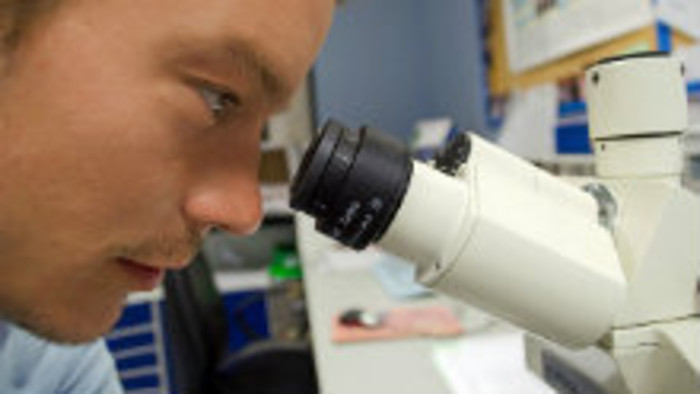 Festival Hory a mesto – náučný chodník