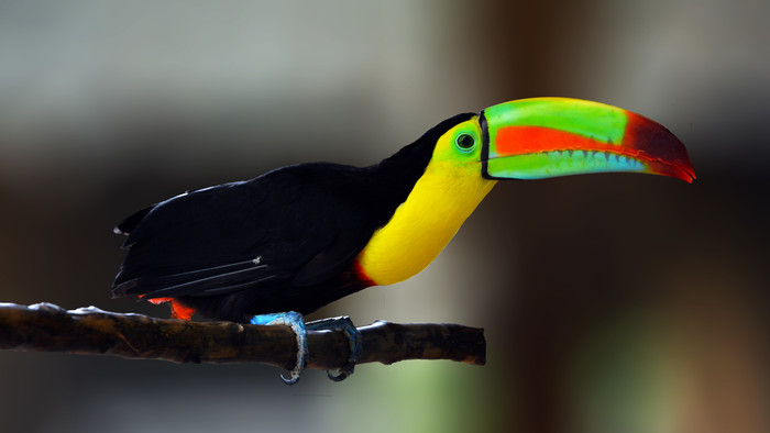 DSC_4097_ps.jpg