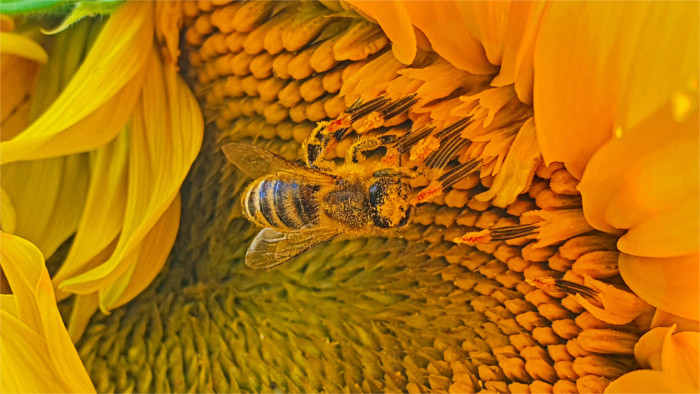 La capitale slovaque associée à l'initiative mondiale Climathon