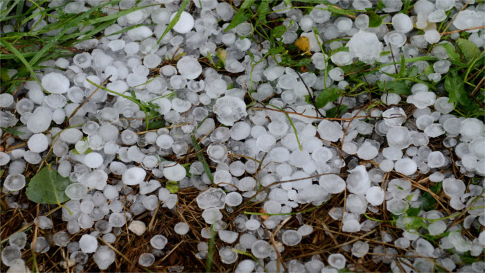 Hailstorm damaged crops worth €1 million 