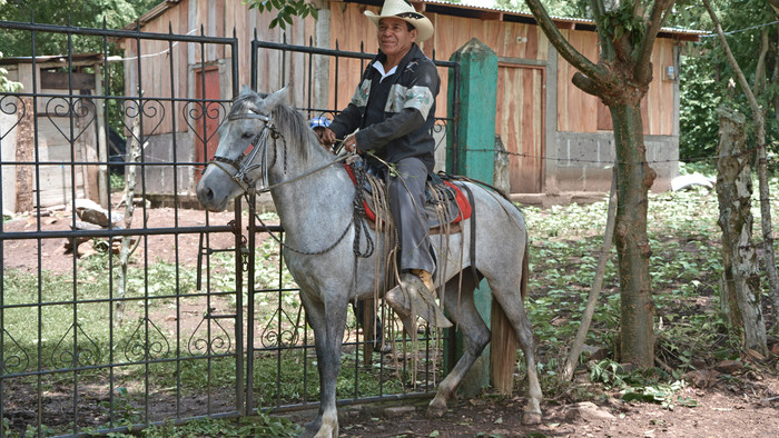 DSC_5296_ps.jpg