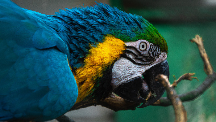 Menej známe úlohy ZOO Bojnice