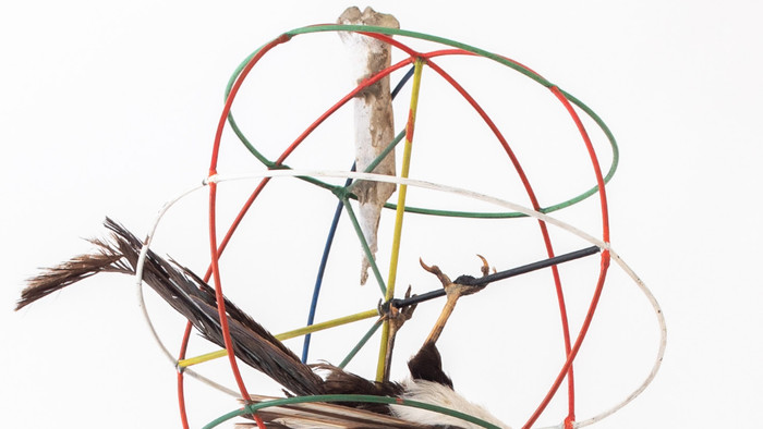 Michal Machciník – Wunderkammer
