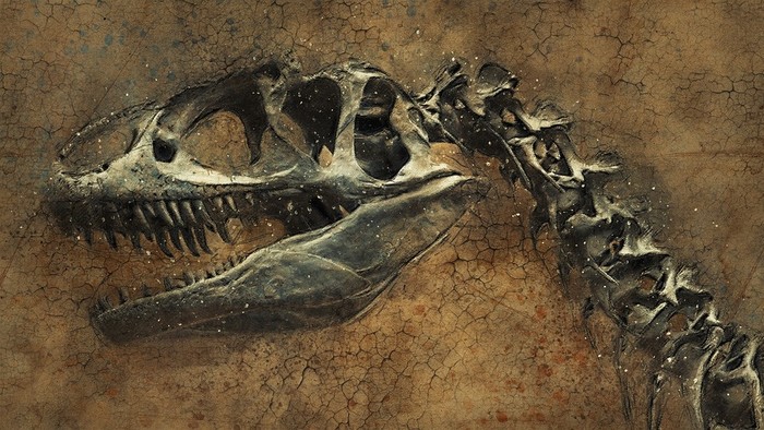 Unikatny objav dinosaura