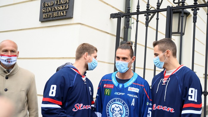 Protest hokeistov