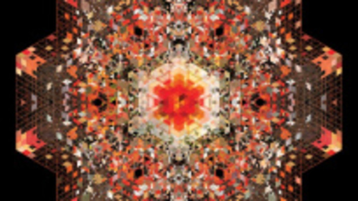 Nika_FM: Noví Beady Eye a Gold Panda
