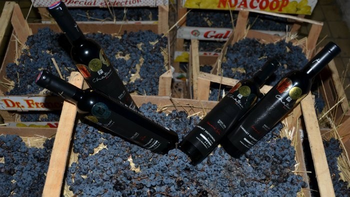 Los vinos eslovacos galardonados en Madrid