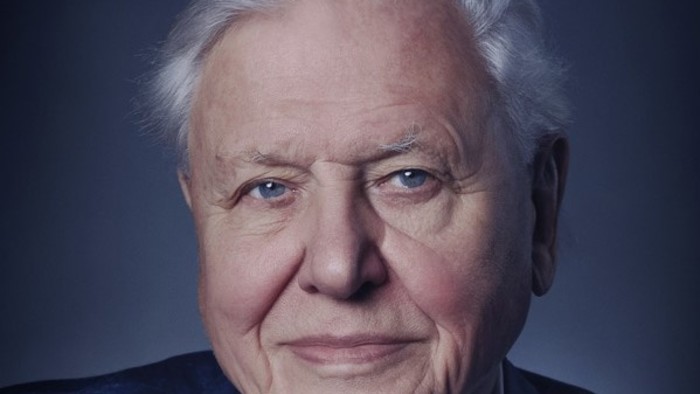 Recenzia dokumentu: David Attenborough - Život na našej planéte