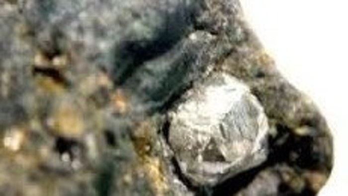 Spektrum