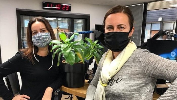 Dobrá správa: Kvety a pohoda