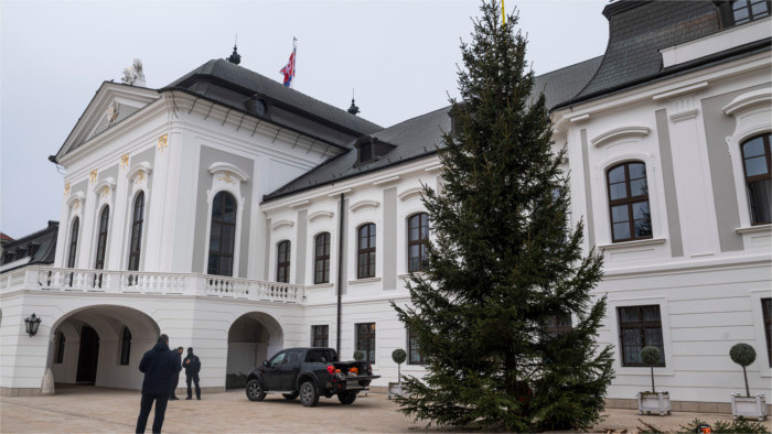 Christmas tree in light in front of Presidential Palace