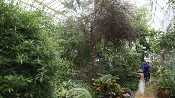 70. výročie Botanickej záhrady v Košiciach
