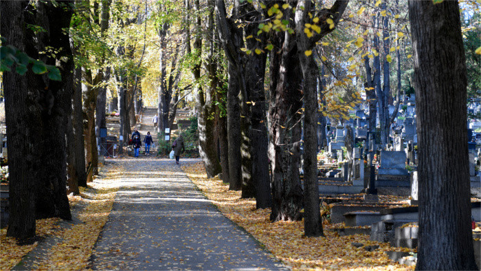 Смертность в Словакии снизилась