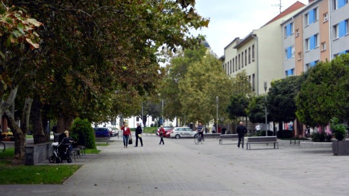 Pesia-zona-v-Sali