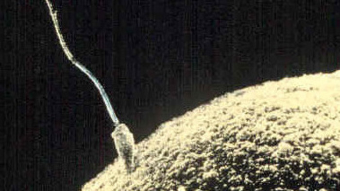 Why one scientist thinks we are very far from solving the mysteries of life