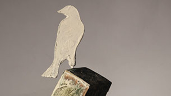 Weiße Krähen 2020 verliehen