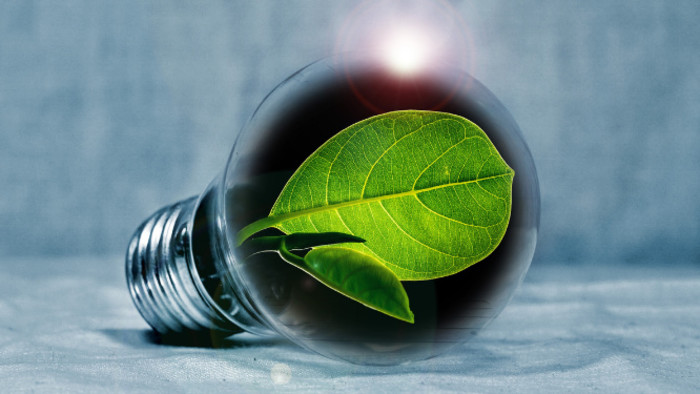 2020 a megújuló energia éve volt?