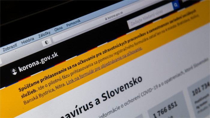 Más del 90% de los eslovacos utilizaron internet durante el año pasado