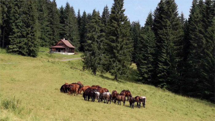 Muranska planina2.jpg